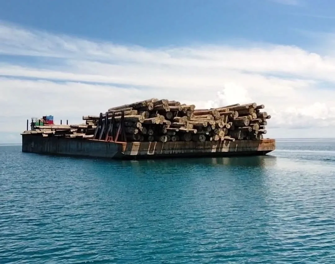GMKI Telukdalam Pertanyakan Hilangnya Tongkang Kayu Sitaan PT GRUTI dan PT Teluk Nauli dari Pelabuhan Pulau Tello