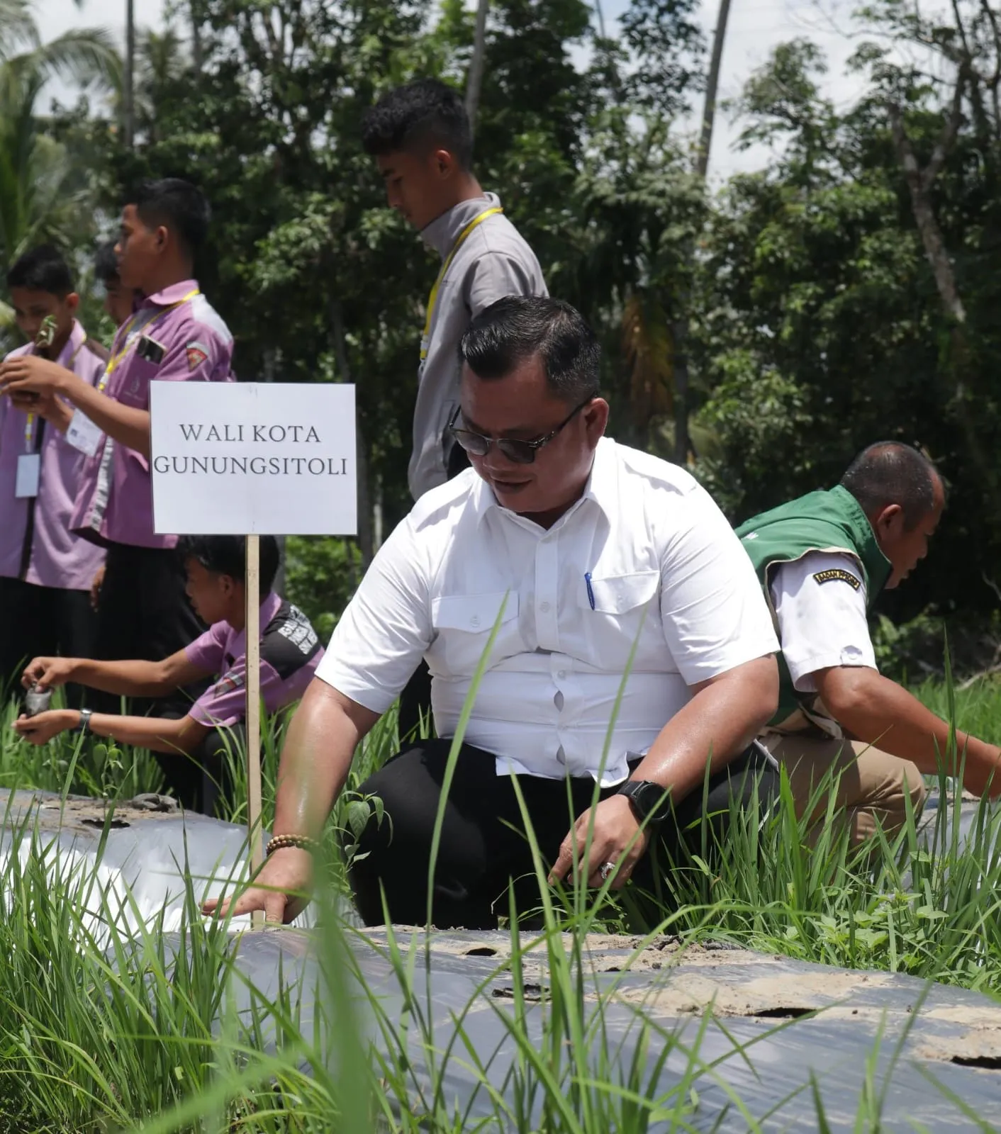 Wali Kota Gunungsitoli Pimpin Tanam Perdana Cabai di Tuhegeo I