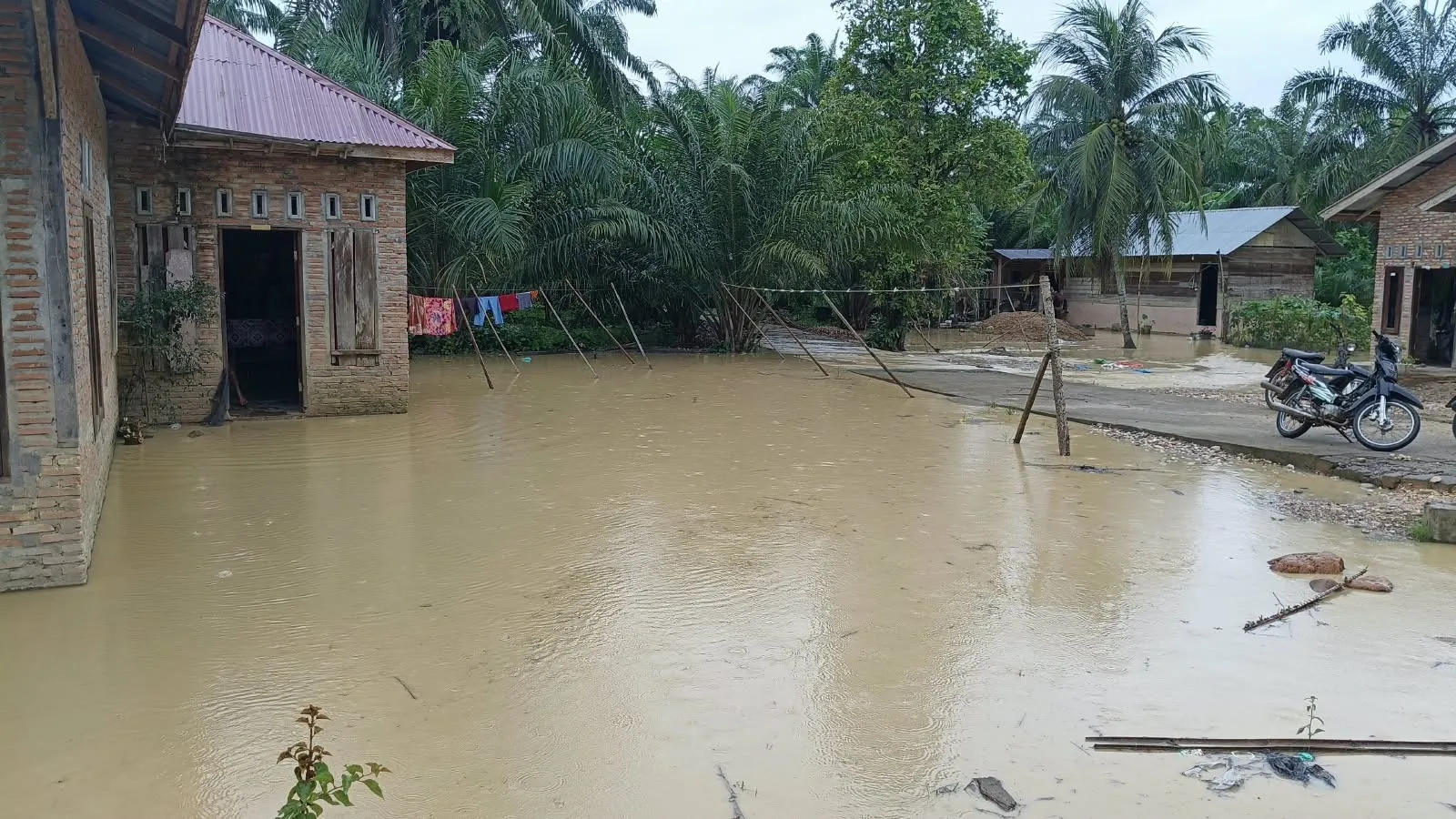 Banjir Rendam Delapan Kecamatan Di Aceh Tamiang, Ratusan KK Mengungsi