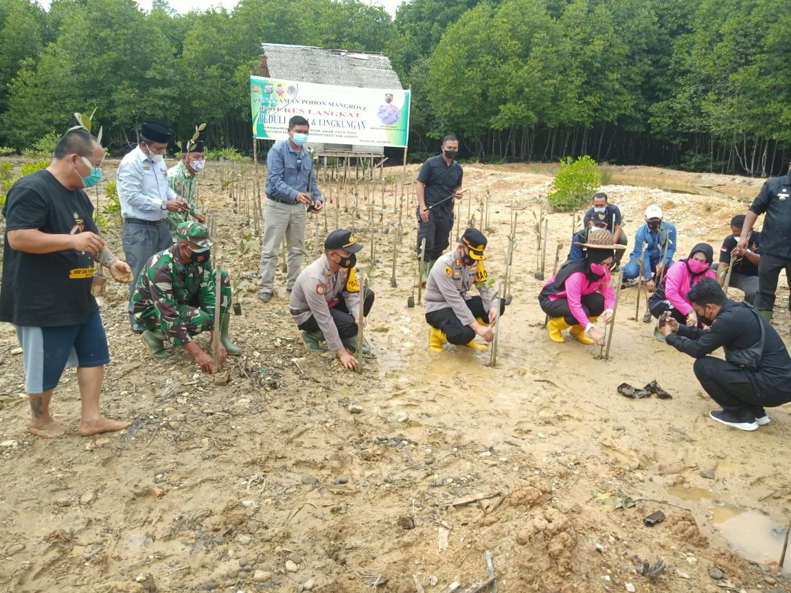 Kapolres Langkat AKBP Danu Pamungkas Totok  SH SIK beserta rombongan dan Forkopincam Kec. Brandan  Barat melakukan penanaman bibit mangrove jenis apikulata di Dusun V Kelapa Enam  Desa Lubuk Kertang Kec. Brandan Barat, Kamis (16/7). beritasore/ist