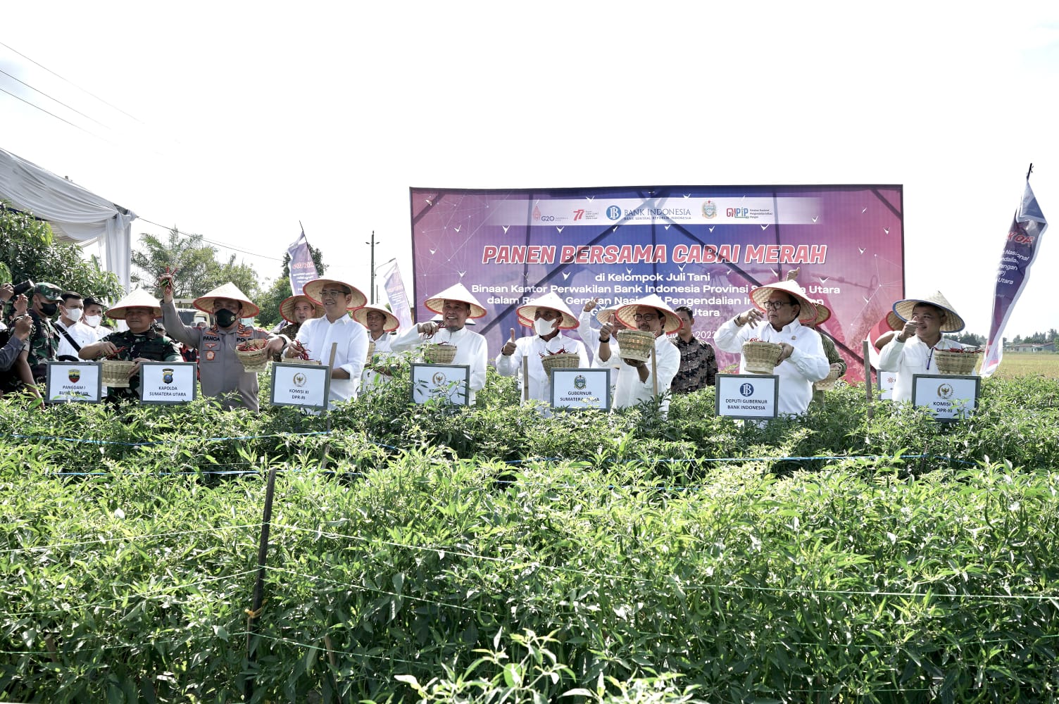 Gubsu Edy Rahmayadi dan Deputi Gubernur BI Juda Agung bersama unsur Forkopimda Sumut melaksanakan panen cabai merah di lahan Gapoktan Juli Tani binaan BI di Dusun Jogja, Kecamatan Beringin, Kabupaten Deliserdang, Rabu (31/8/2022). beritasore/laswie wakid