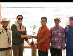 Sharp Indonesia Rehabilitasi Ekosistem Karbon Biru