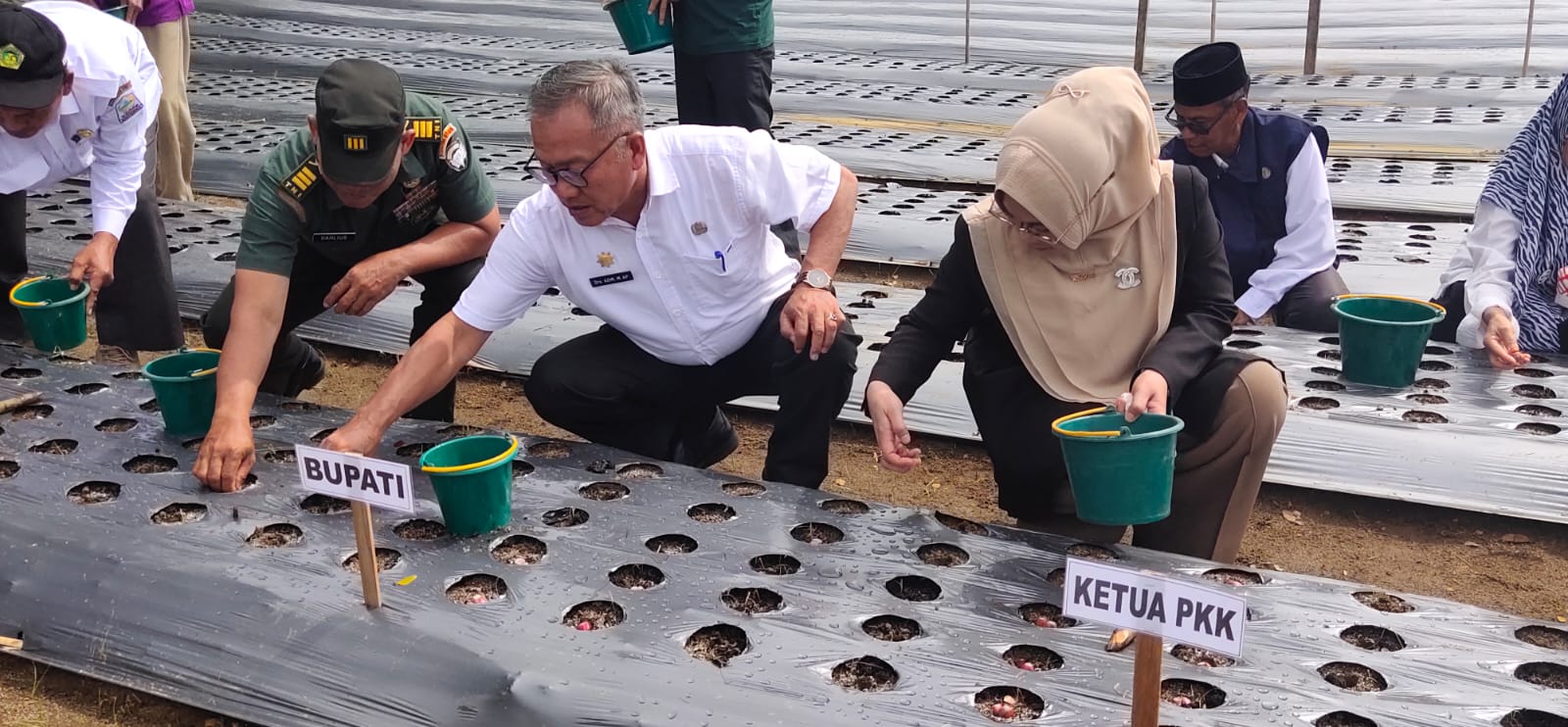 Berita Sore /Ahmad Zaelani Sidik Penjabat (Pj) Bupati Aceh Singkil didampingi ketua TP- PKK dan unsur forkopimda melakukan penanaman bawang merah di desa Gunung Lagan pada acara launching gerakan menanam bawang merah, Rabu (30/8/2023).