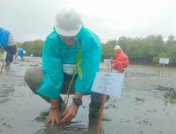 PT PLB Tanam 41 Ribu Mangrove di Singkil