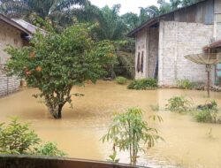 7 Kecamatan Banjir di Madina, Aktivitas Warga “Lumpuh”