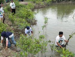 Ustaz Sahabat Ganjar Edukasi Masyarakat Pentingnya Jaga Kelestarian Alam Dengan Tanaman Mangrove