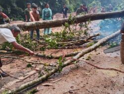 Tanah Longsor dan Pohon Tumbang  di Tambangan, Akses Jalan Tertutup