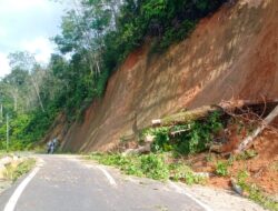 3 Titik Longsor Di Panyabungan Timur Ganggu Pengendara