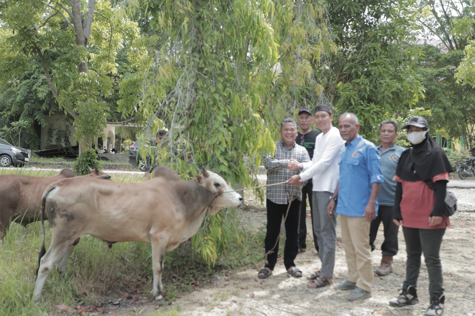 Teks foto : Penjabat (Pj) Bupati Aceh Tamiang, Drs. Asra saat menyerahkan bantuan dua ekor sapi kepada Persatuan Wartawan Indonesia (PWI) di kabupaten tersebut.