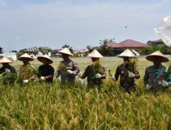 Geuchik Matang Seulimeng Dapat Apresiasi Dari Pj. Wali Kota Langsa 