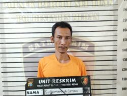 Polsek Medan Tembung Ringkus Pembakar  Br Gurusinga