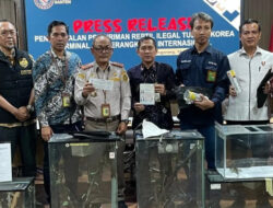 WNA Korsel Ditangkap Petugas Bandara, Selundupkan Puluhan Reptil