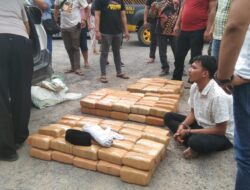 Pria Asal Aceh Bawa Ganja 130 Kg Diamankan Polsek Pulau Raja