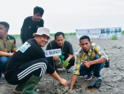 Pj Bupati Batubara Tanam 1000 Mangrove Di Pantai Sujono