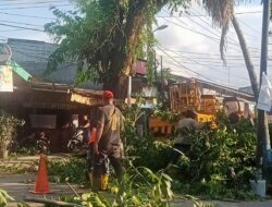 UPT SDABMBK Wilayah I Deliserdang Pangkas Pohon Di Sei Semayang