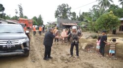 Usai Cuti Kampanye, Dolly Pasaribu Tinjau Dampak Banjir Bandang Di Tapsel