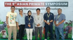 Agincourt Resources Tunjukkan Inovasi Jembatan Arboreal Untuk Primata Batang  Toru Di Asian Primate Symposium