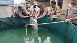 Dukung Ketahanan Pangan, Kapolsek Hinai Tabur 1.500 Ikan Lele