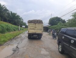 Kondisi jalan dari Laras Kec. Bandar Huluan menuju Dolok Ilir Kec. Dolok Batunanggar, kondisinya bagai kubangan kerbau, membuat pengemudi kenderaan kesulitan sewaktu melintasinya.(Foto ist).