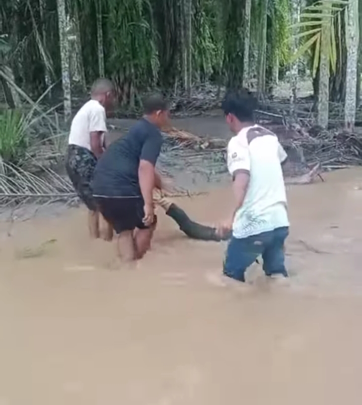 Ket Potho : Warga Masyarakat Desa Sigrun Kecamatan Sultan Daulat Kota Sibulussalam.Menemukan sosok jasat wanita An tersangkut di Pohon Sawit.Pada Senin Siang ( 23/12).tampak warga tengah melakukan Evakuasi. Berita Sore /Ist