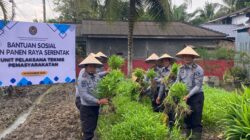 Teks fhoto Mendukung program Asta Cita Presiden RI, Ketahanan pangan nasional, Lapas Kelas IIA Labuhan Ruku mewakili UPT Pemasyarakatan se- Sumatera Utara menggelar panen raya serentak secara virtual Zoom Meeting Selasa (24/12/2024). beritasore/alirsyah