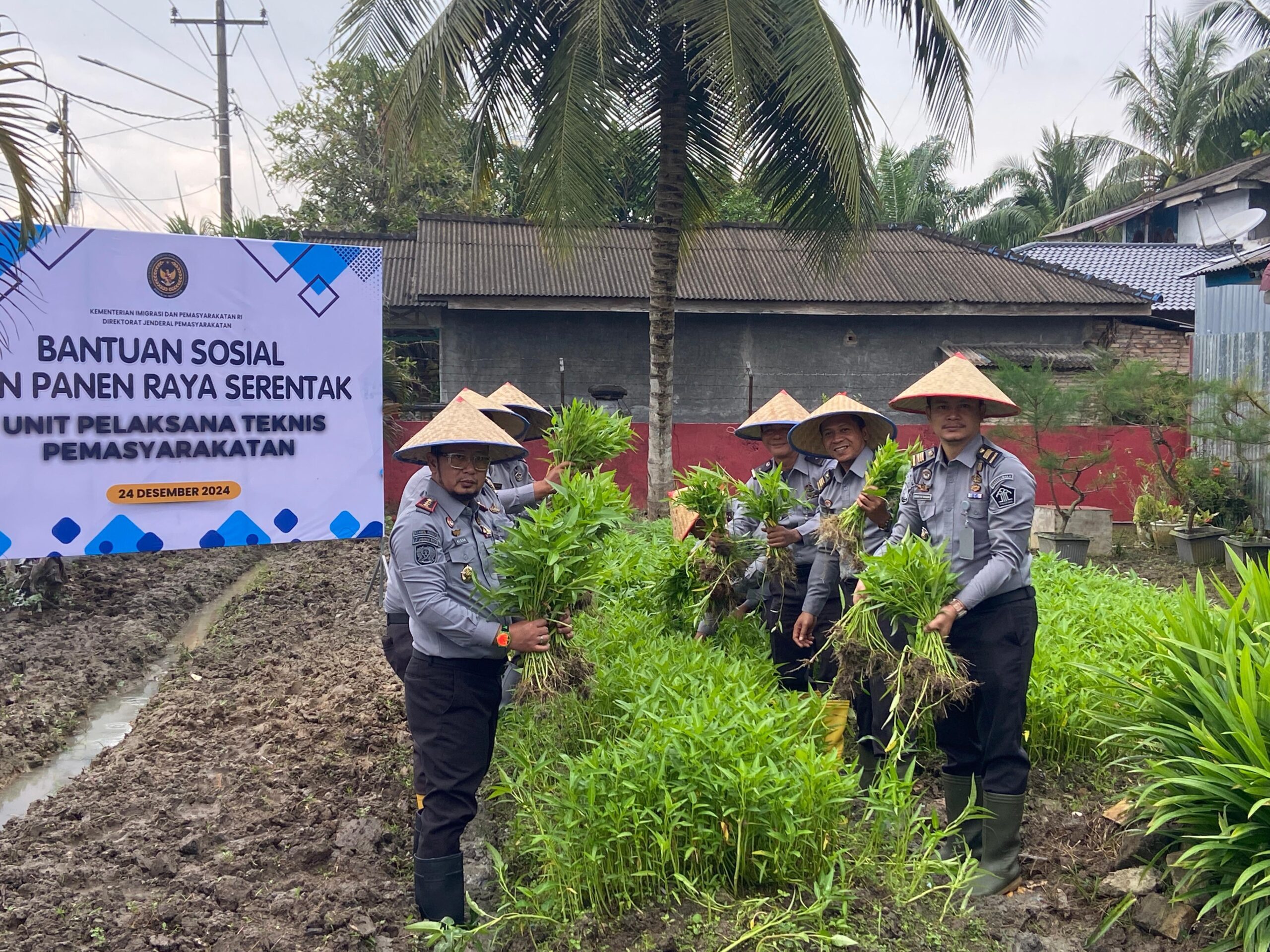 Teks fhoto Mendukung program Asta Cita Presiden RI, Ketahanan pangan nasional, Lapas Kelas IIA Labuhan Ruku mewakili UPT Pemasyarakatan se- Sumatera Utara menggelar panen raya serentak secara virtual Zoom Meeting Selasa (24/12/2024). beritasore/alirsyah