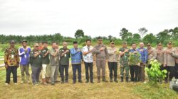 Pj. Bupati Aceh Tamiang Ajak Masyarkat Manfaatkan Perkarangan Tanami Cabai dan Sayur