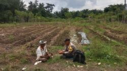 Polsek Stabat Dukung Petani Lokal