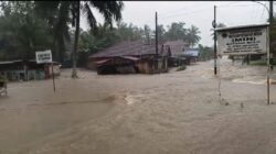 Tiga desa di wilayah Kecamatan Barumun Selatan, Kabupaten Palas terendam akibat banjir dengan meluapnya sungai Siabu.(Ist)